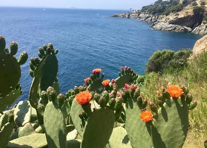Marian Platja